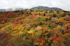 早池峰山の紅葉
