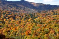 松川大橋から八幡平の紅葉