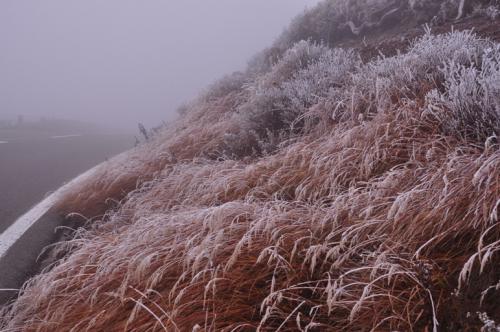 八幡平山頂は霧氷