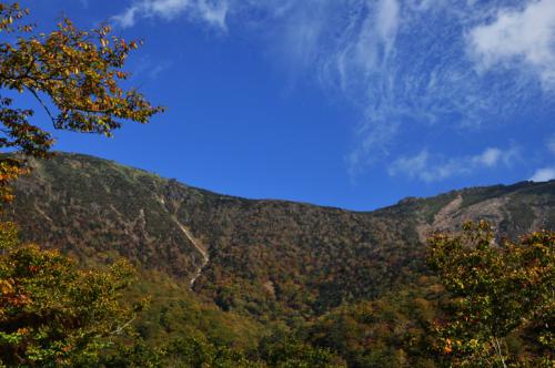 DSC_4839.jpg