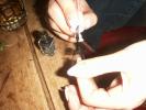 PICT0560.jpg