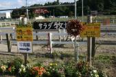 サラダ牧場
