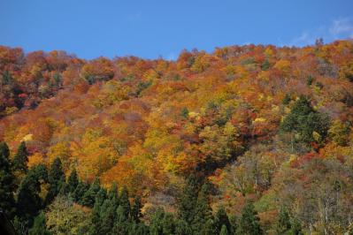 121104_01.jpg