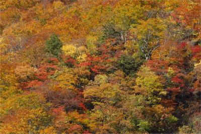 121104_02.jpg