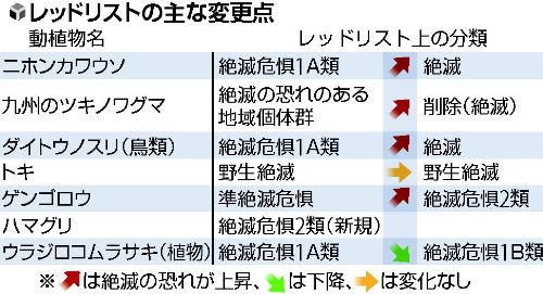 201208029k.jpg