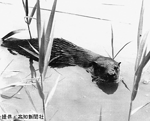 201208029m.jpg