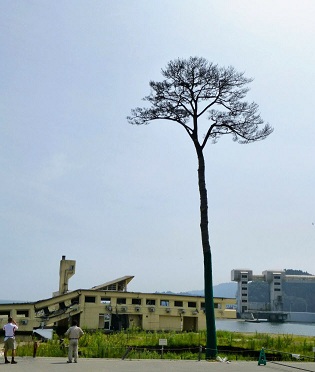 201208030a.jpg