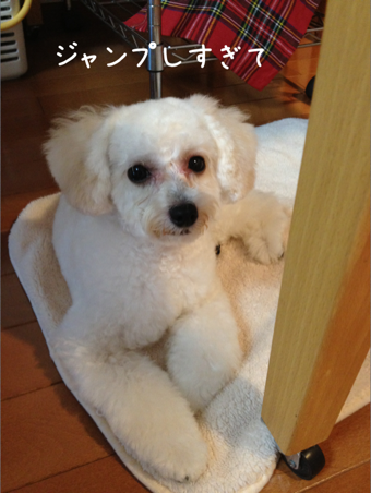 IMG_3605.png