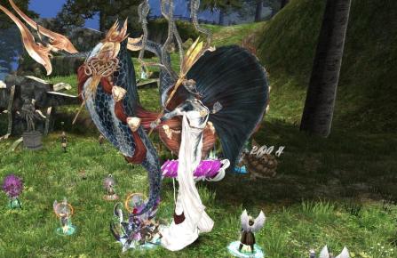 capture_00522.jpg