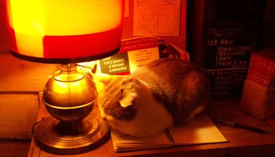121208_210959min.jpg
