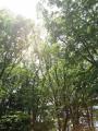 20120514220836158.jpg