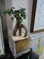 20120817224624edf.jpg