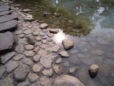 DSCN1554 (400x300)
