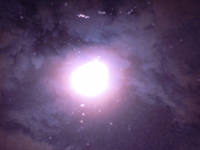 DSCN1562 (400x300)