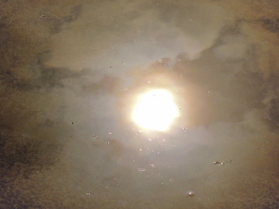 DSCN1569 (400x300)