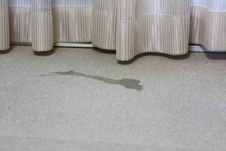 20140122_1.jpg
