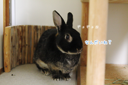 20140122_3.jpg