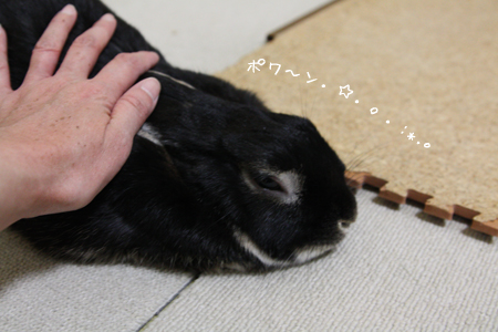 20140122_5.jpg