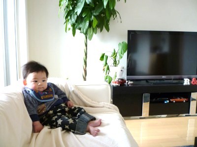 s_P1050255.jpg