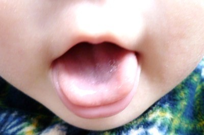 s_P1060169.jpg