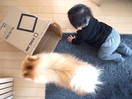 s_P2192241.jpg