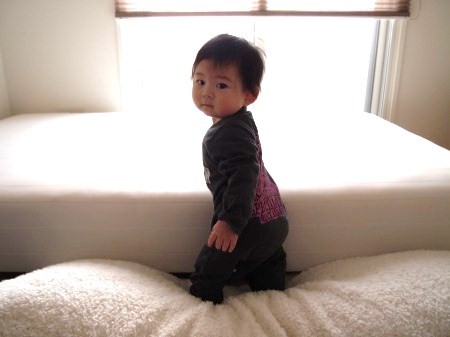 s_P2202295.jpg