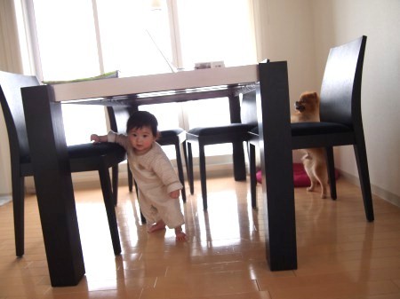 s_P2222413.jpg