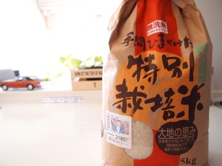 s_P2252589.jpg