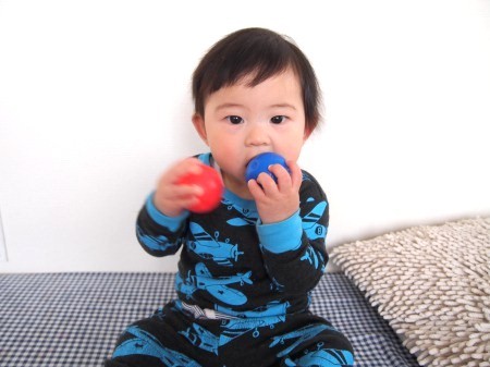 s_P3093361.jpg