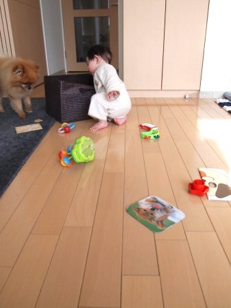 s_P3153861.jpg