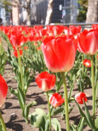s_P5267223.jpg