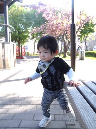 s_P5317520.jpg