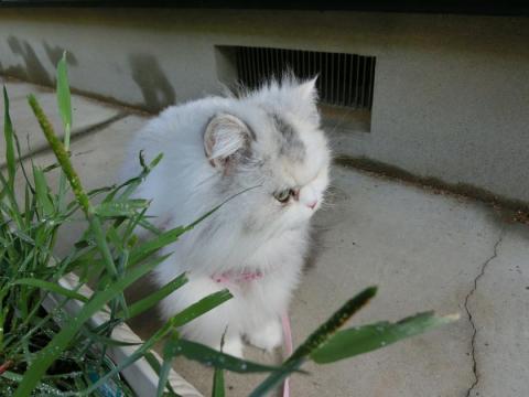 CIMG1259_convert_20120426095903.jpg