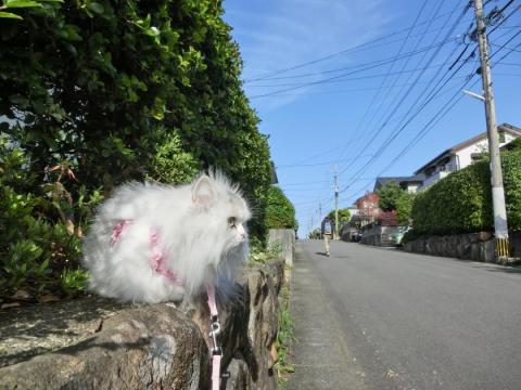 CIMG1291_convert_20120427153140.jpg