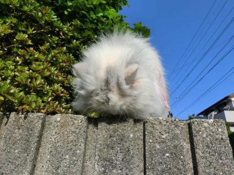 CIMG1321_convert_20120505100627.jpg