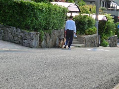 CIMG1331_convert_20120506102757.jpg