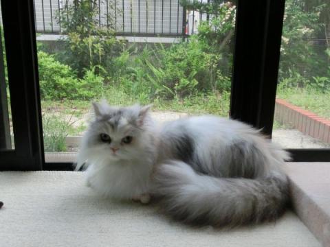 CIMG1341_convert_20120508131906.jpg