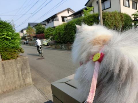 CIMG1365_convert_20120510114452.jpg