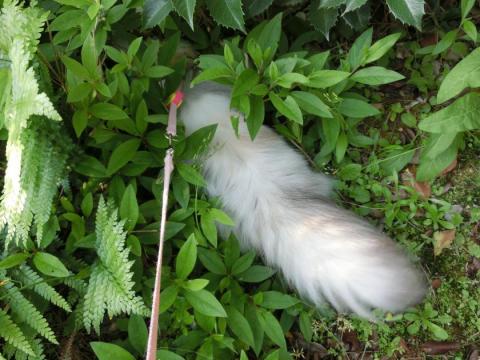CIMG1423_convert_20120512121954.jpg