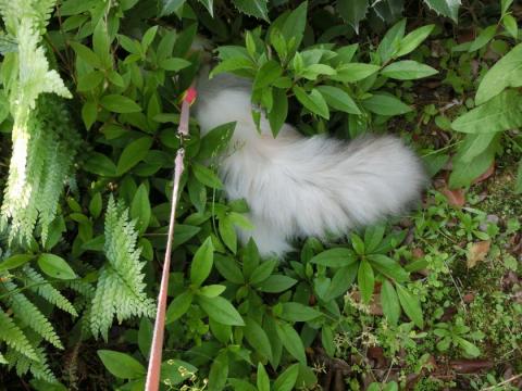 CIMG1424_convert_20120512122036.jpg
