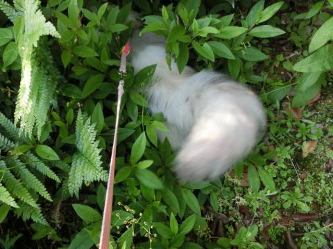 CIMG1425_convert_20120512122116.jpg