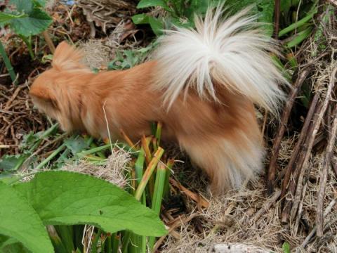 CIMG1442_convert_20120516131802.jpg