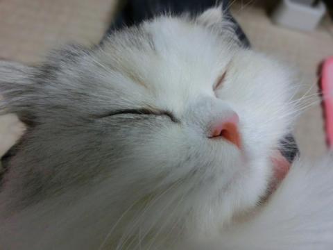 CIMG1497_convert_20120526135258.jpg