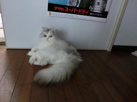 CIMG1503_convert_20120523140009.jpg
