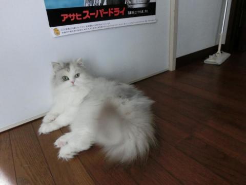 CIMG1504_convert_20120523140049.jpg