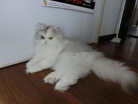 CIMG1506_convert_20120523140209.jpg