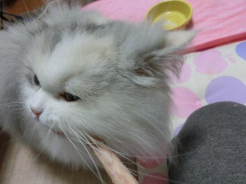 CIMG1549_convert_20120527172517.jpg