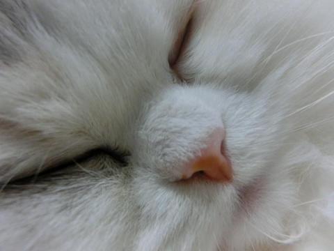 CIMG1559_convert_20120601151117.jpg