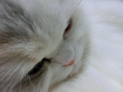 CIMG1560_convert_20120601151213.jpg