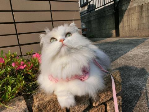 CIMG1573_convert_20120529121227.jpg